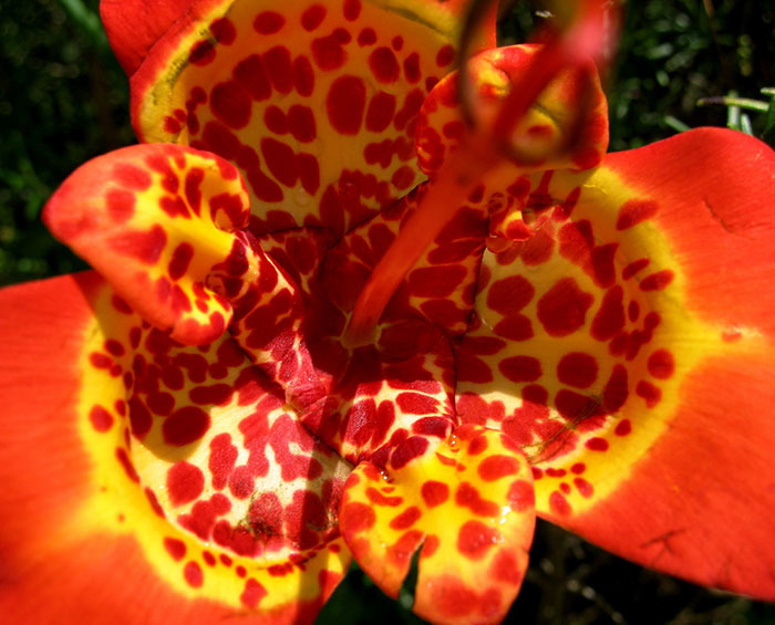 ТОП-12 достопримечательностей Панамы