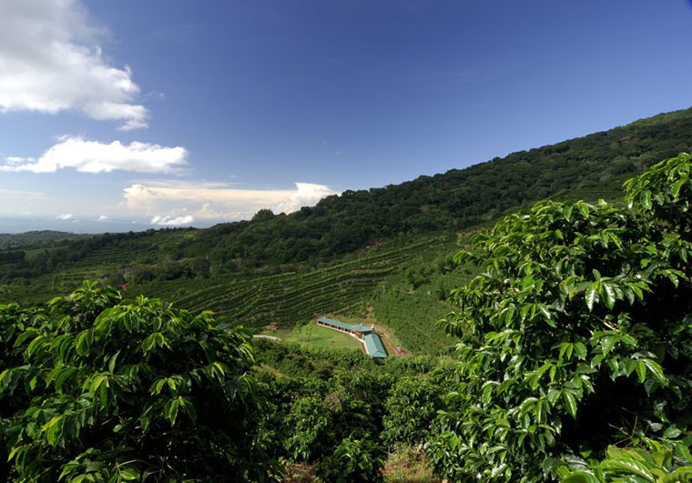 ТОП-12 достопримечательностей Панамы