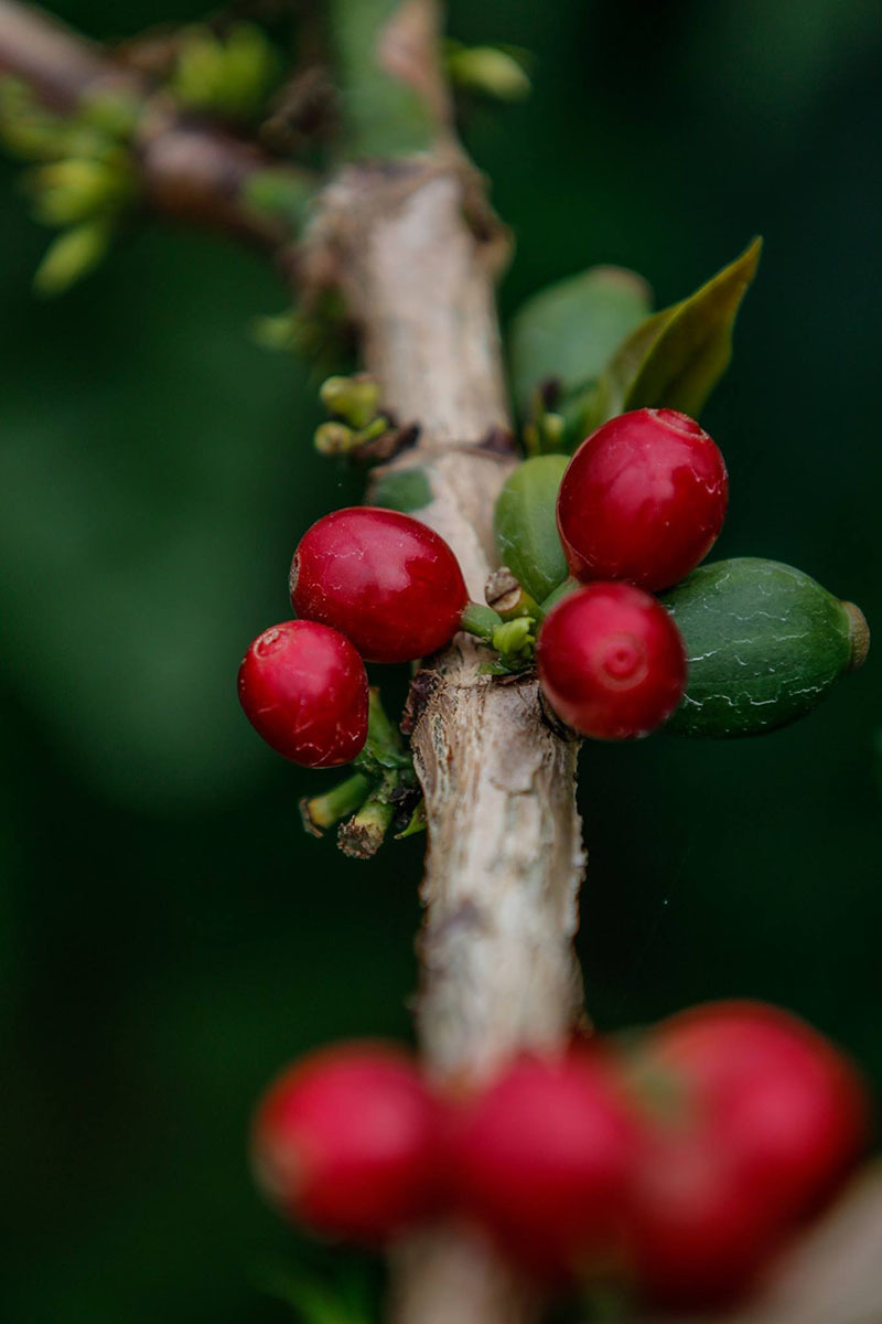 ТОП-12 достопримечательностей Панамы