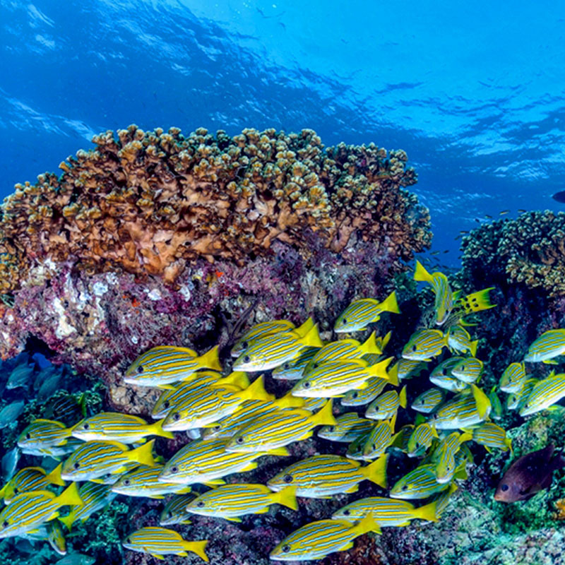 ТОП-12 достопримечательностей Панамы