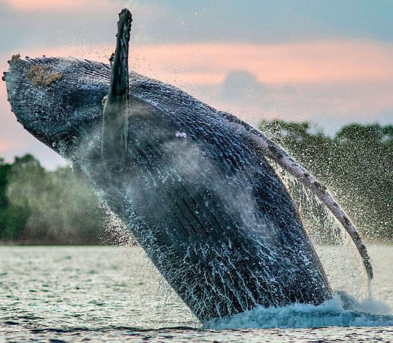 ТОП-12 достопримечательностей Панамы