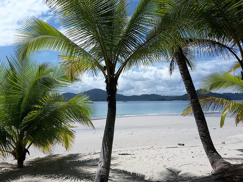 Национальный Парк Койба в Панаме и паранормальные явления на его территории