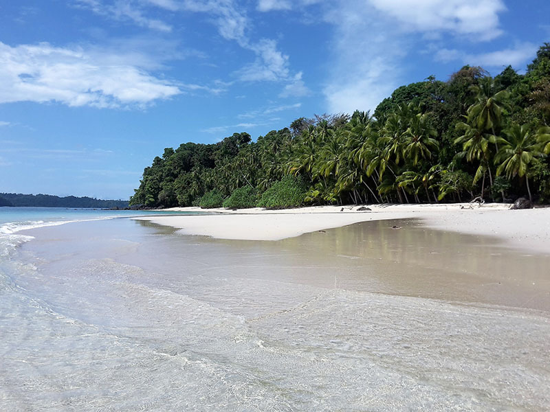 Национальный Парк Койба в Панаме и паранормальные явления на его территории