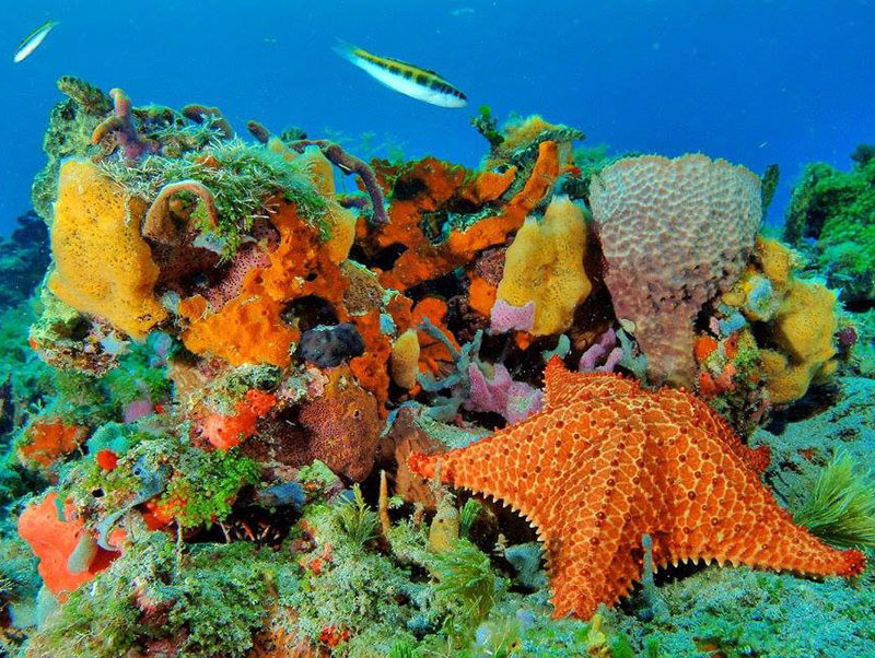 Национальный Парк Койба в Панаме и паранормальные явления на его территории