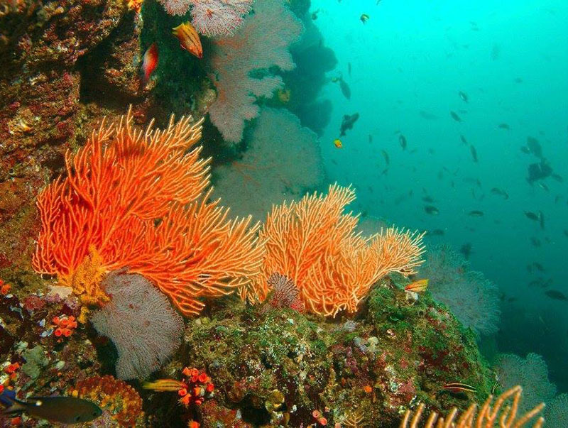 Национальный Парк Койба в Панаме и паранормальные явления на его территории