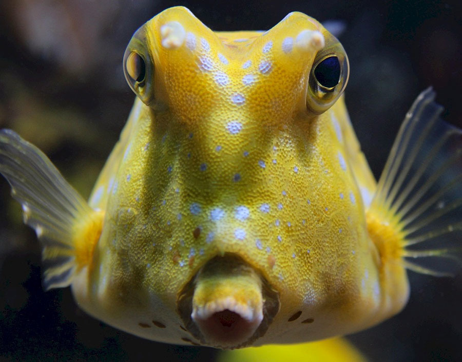 Национальный Парк Койба в Панаме и паранормальные явления на его территории