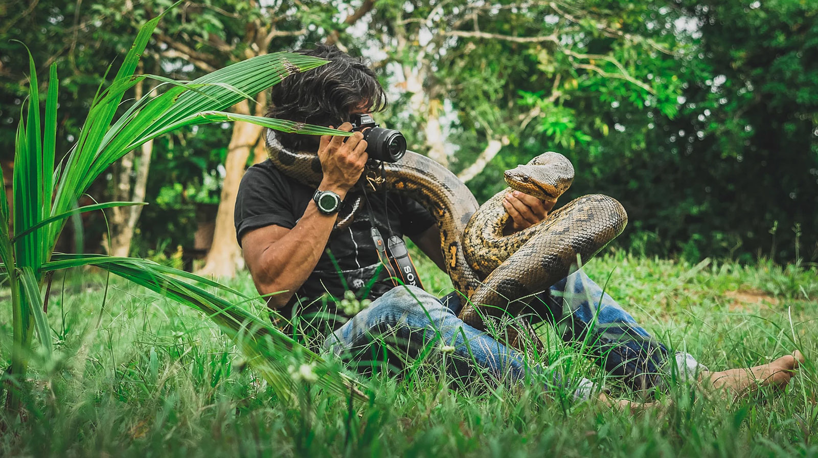 10 самых опасных животных Латинской Америки