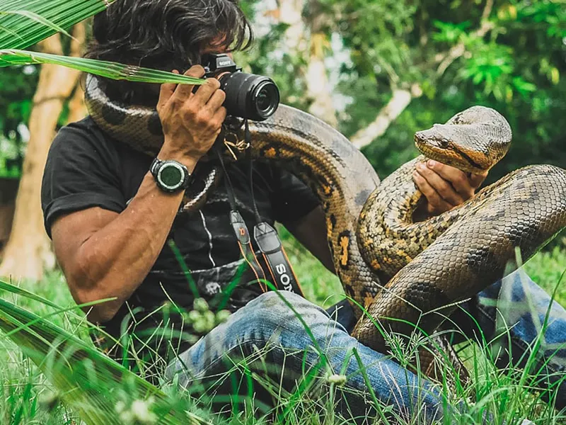 10 самых опасных животных Латинской Америки