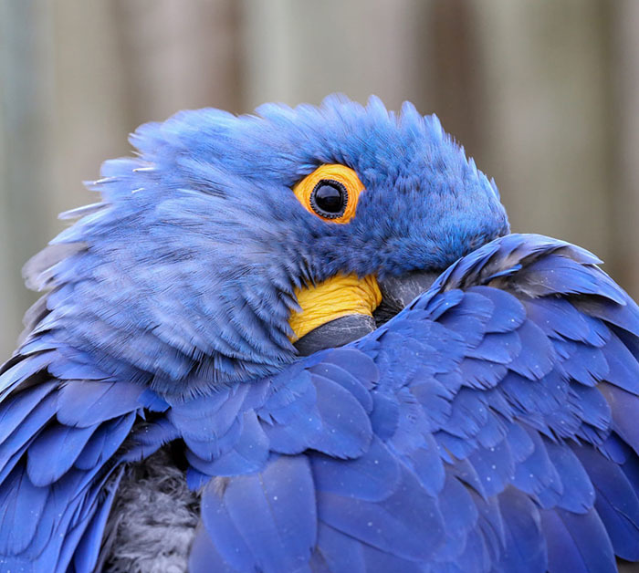 20 самых интересных мест Боливии