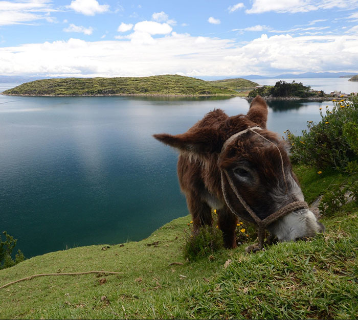 20 самых интересных мест Боливии