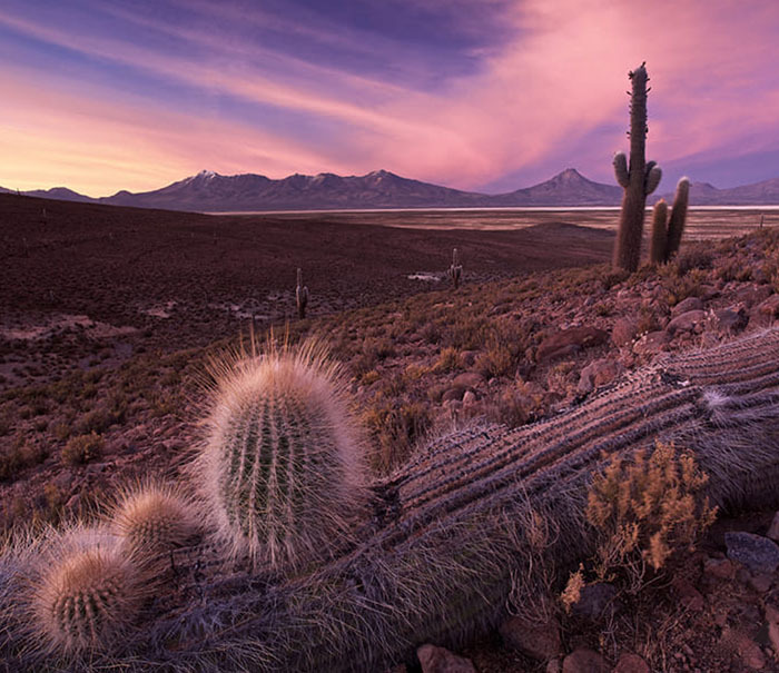 20 самых интересных мест Боливии