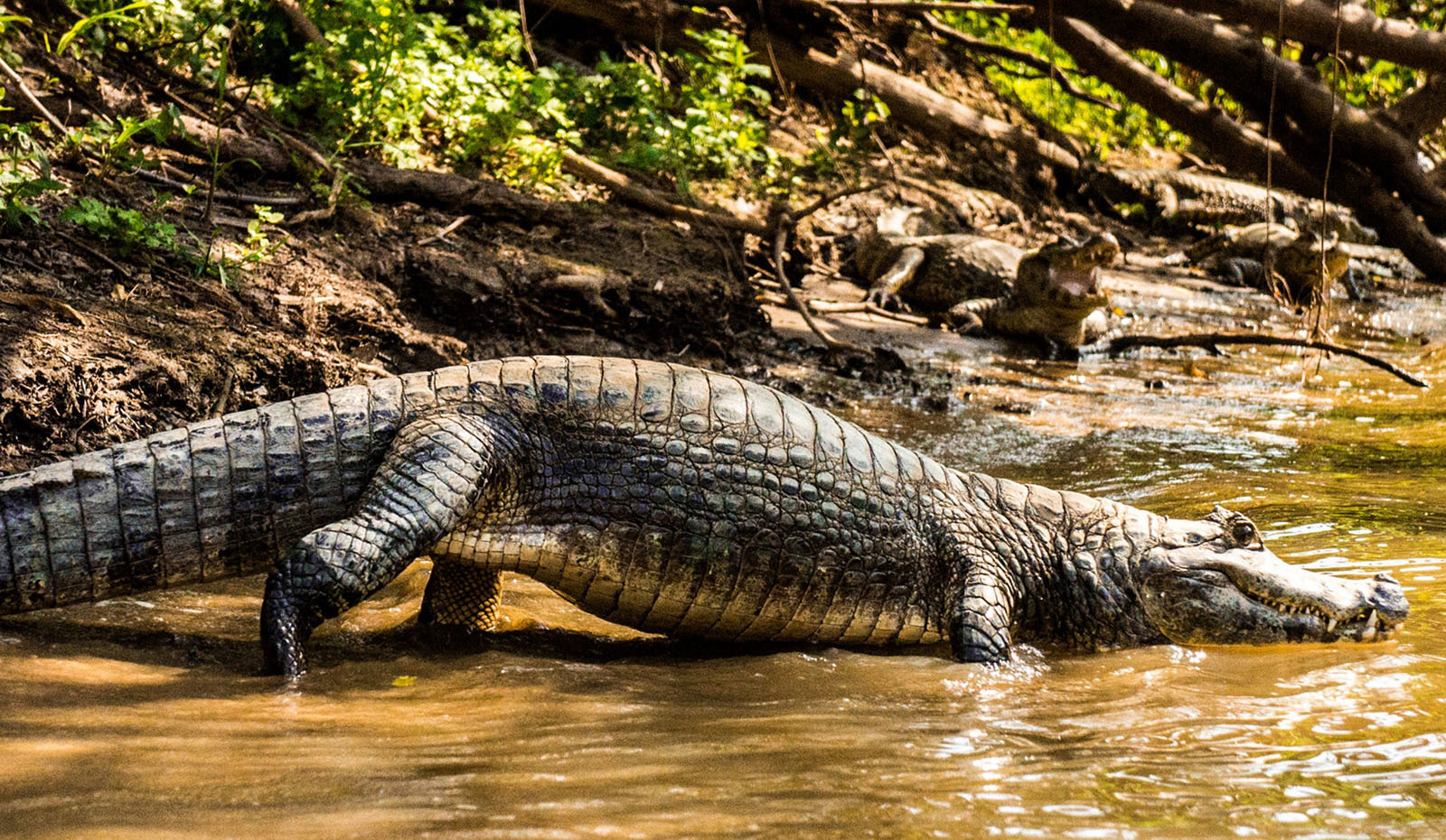 20 самых интересных мест Боливии