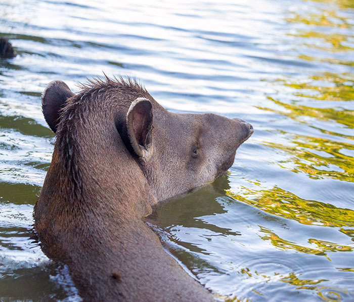 20 самых интересных мест Боливии