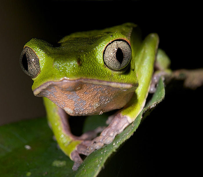 20 самых интересных мест Боливии