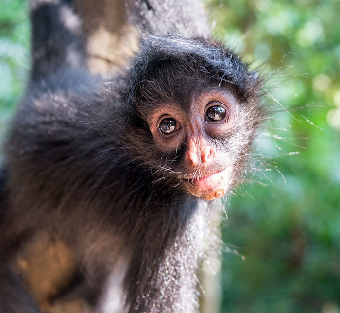 20 самых интересных мест Боливии