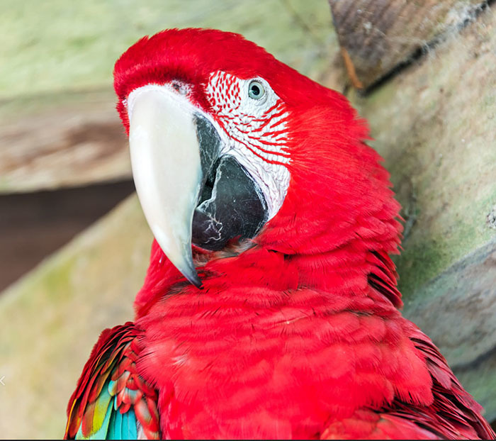 20 самых интересных мест Боливии