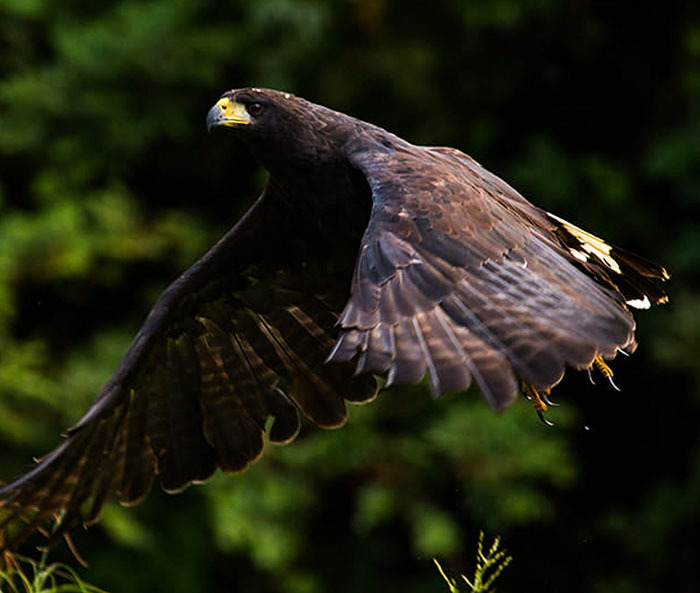 20 самых интересных мест Боливии