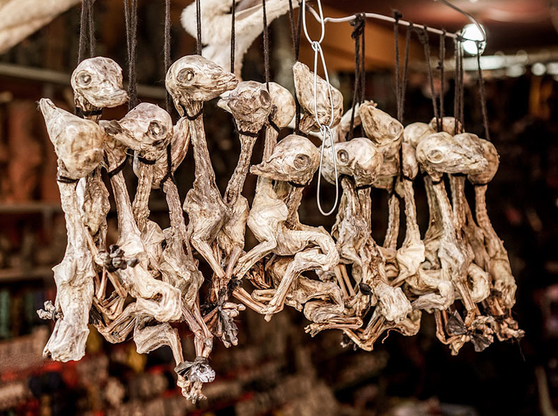 20 самых интересных мест Боливии