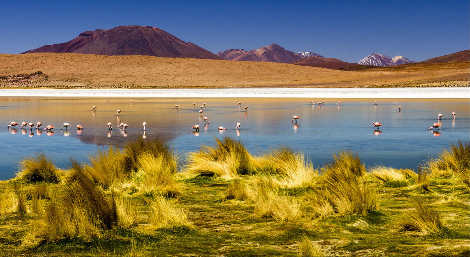 20 самых интересных мест Боливии