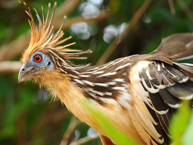 20 самых интересных мест Боливии