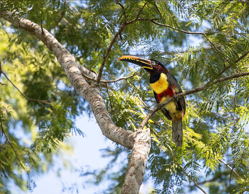 20 самых интересных мест Боливии