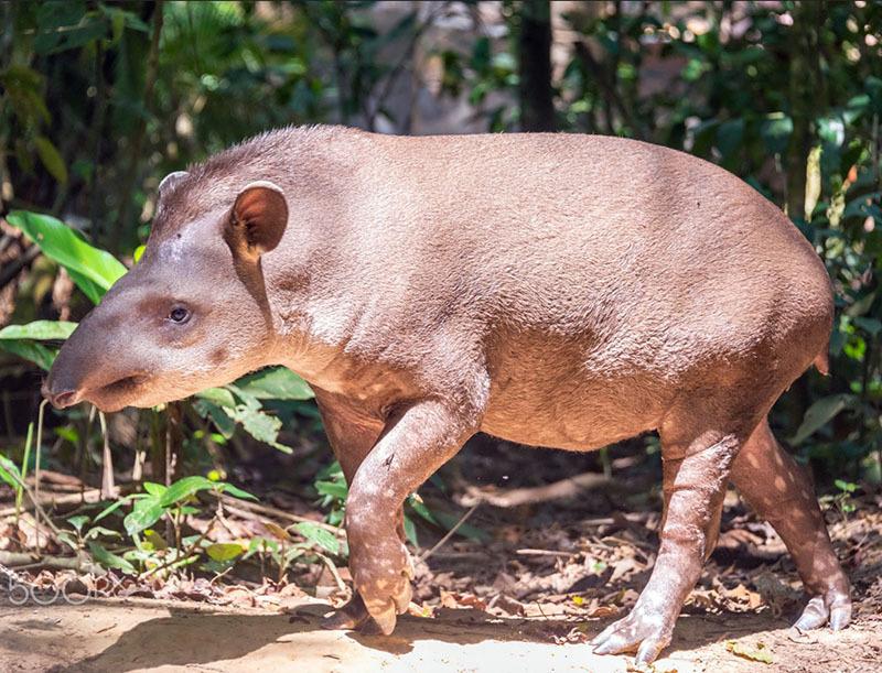 20 самых интересных мест Боливии