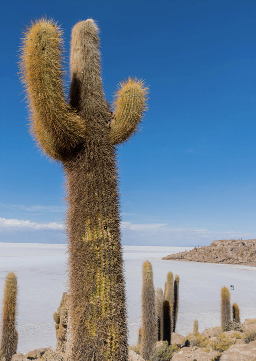Солончак Уюни, Боливия