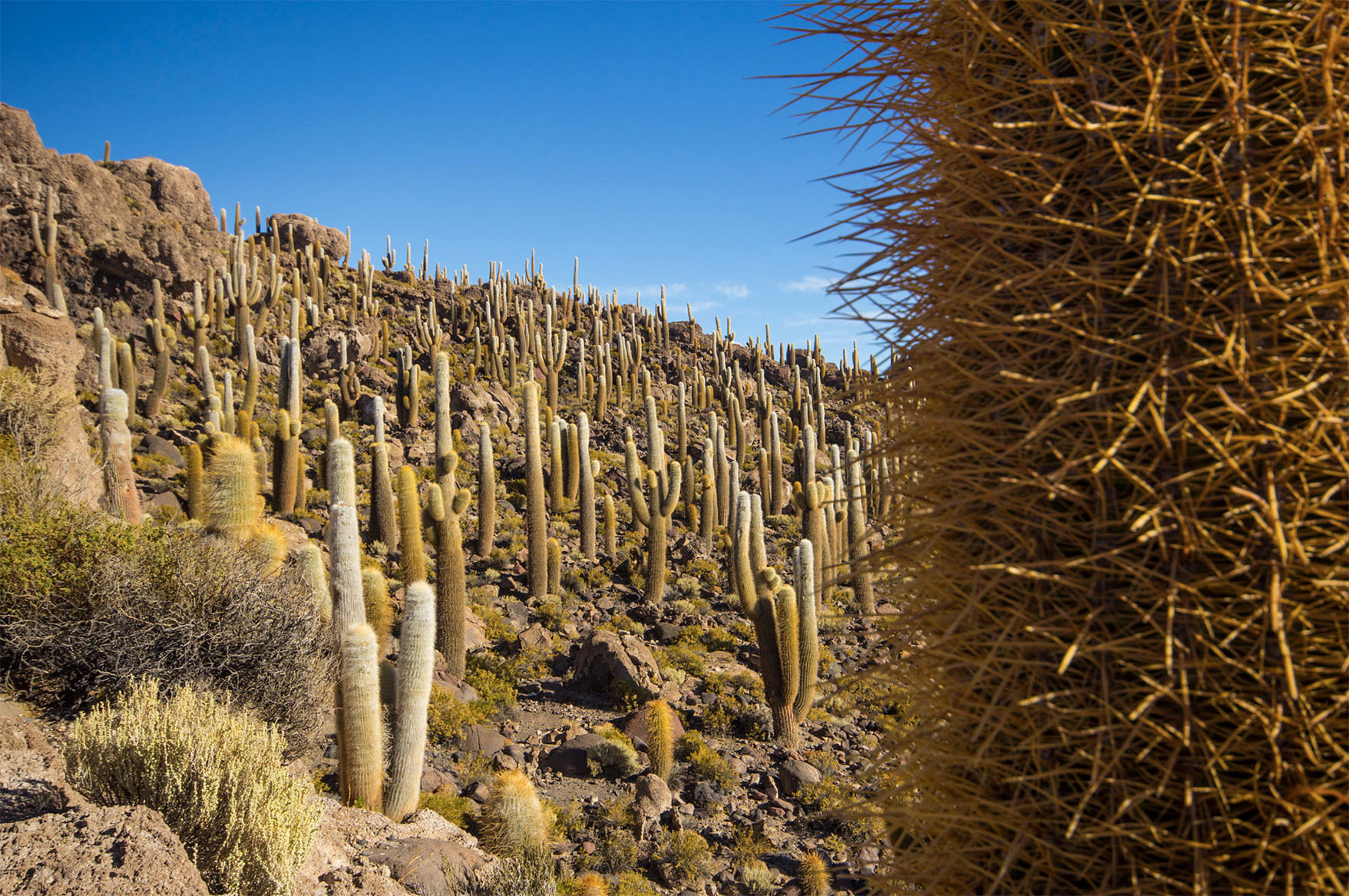 Солончак Уюни, Боливия