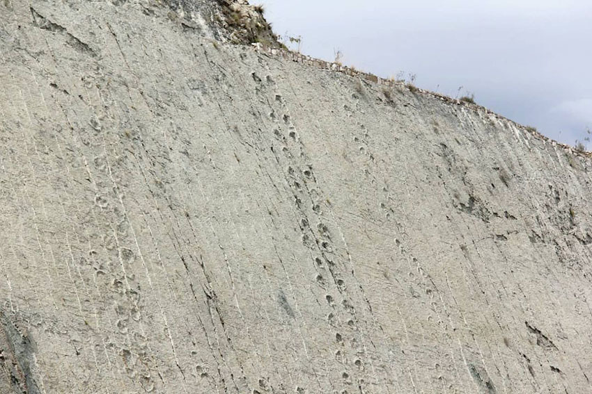 Белый город Сукре, Боливия