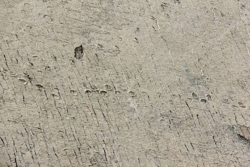 Белый город Сукре, Боливия