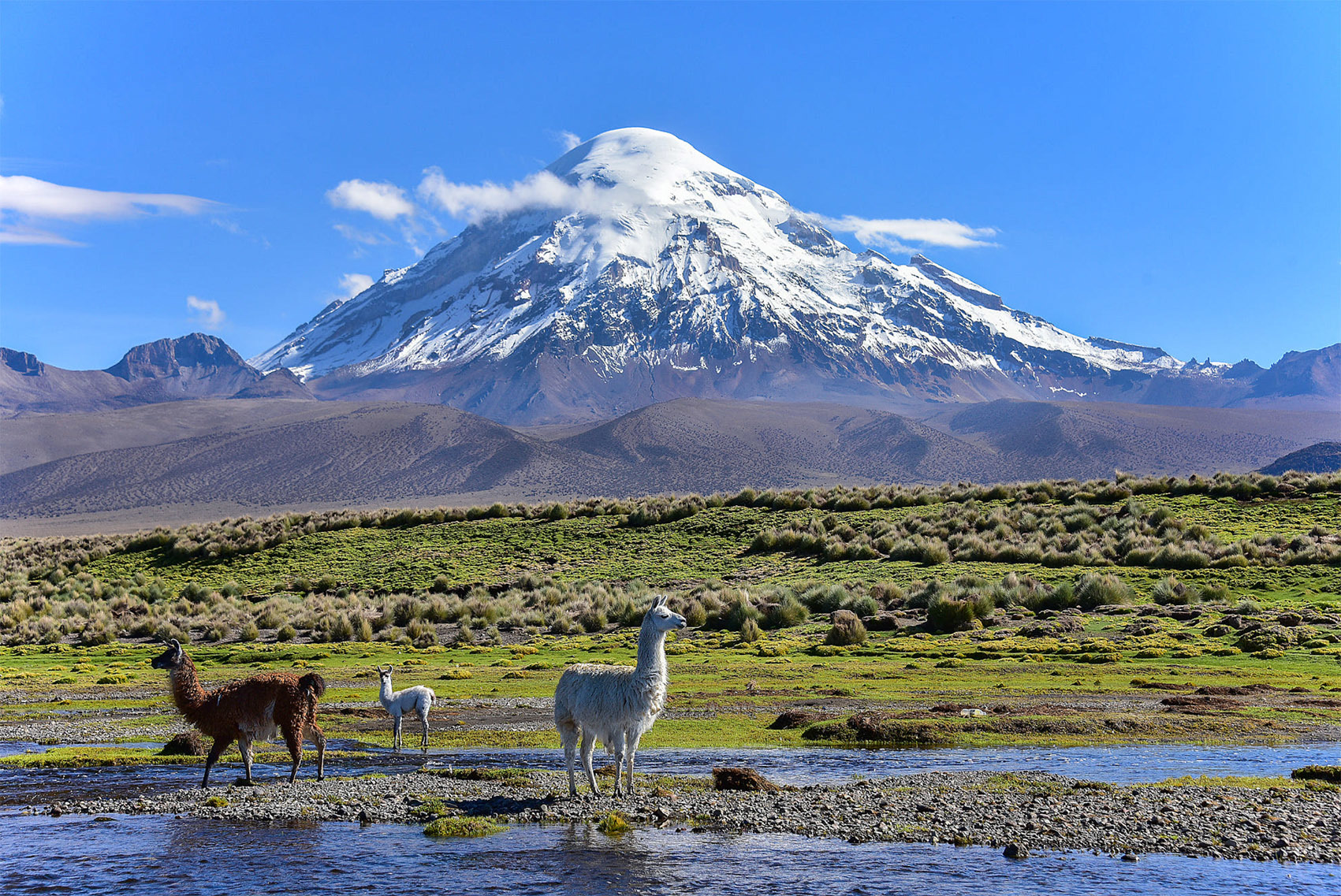 Тур по вулканам Боливии