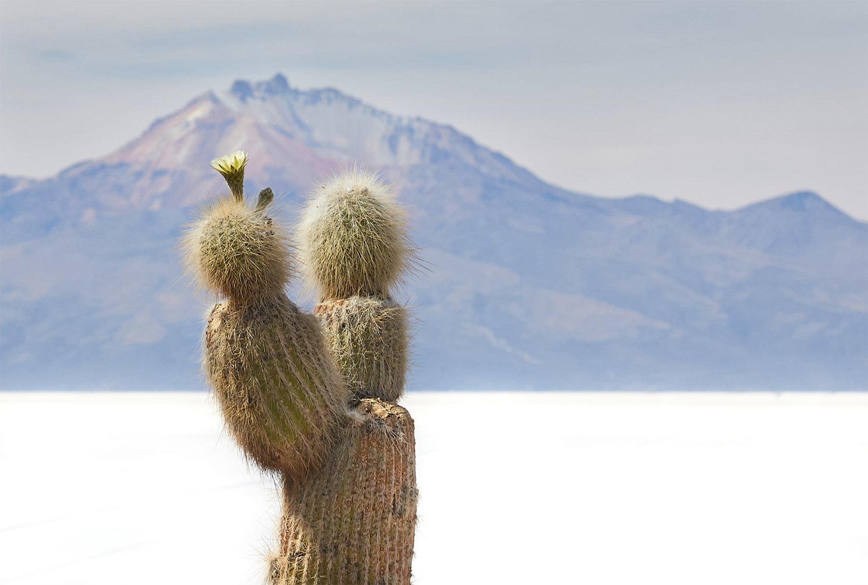 Тур по вулканам Боливии