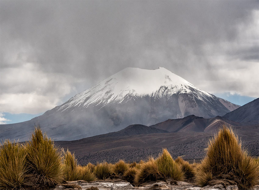 Национальный Парк Сахама, Боливия