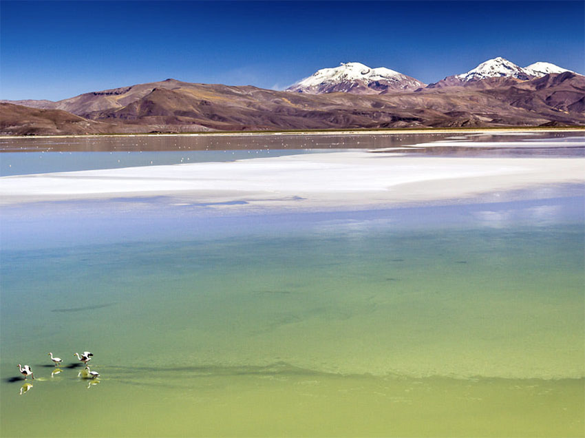 Национальный Парк Сахама, Боливия