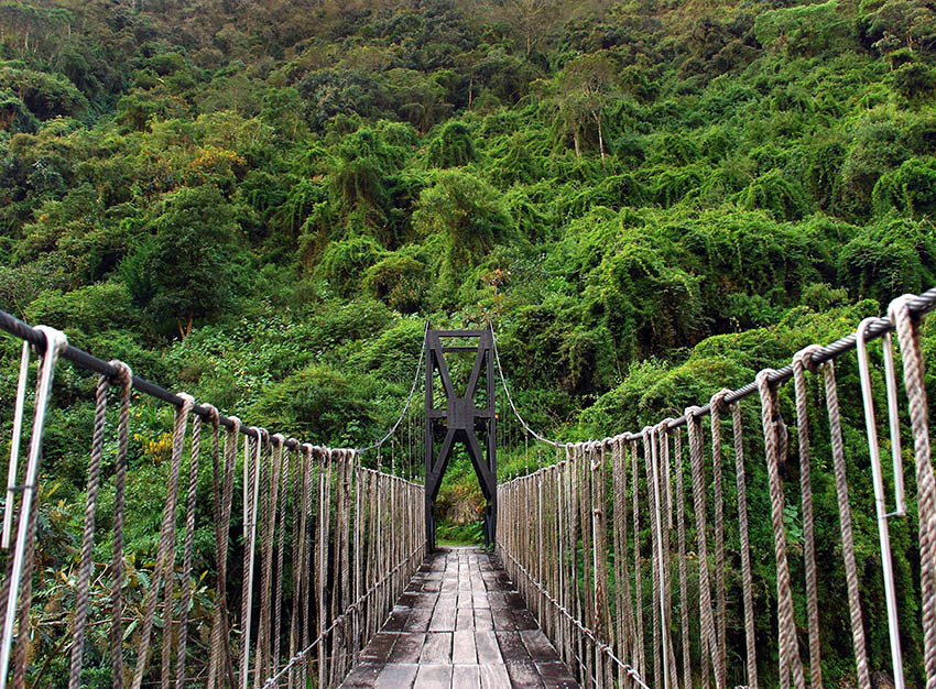 Затерянный Мир Боливии — Национальный Парк Ноэль Кемпфф Меркадо