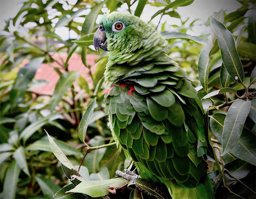 Затерянный Мир Боливии — Национальный Парк Ноэль Кемпфф Меркадо