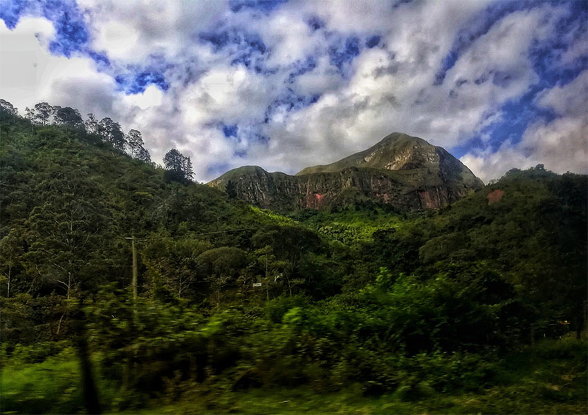 Национальный Парк Амборо, Боливия