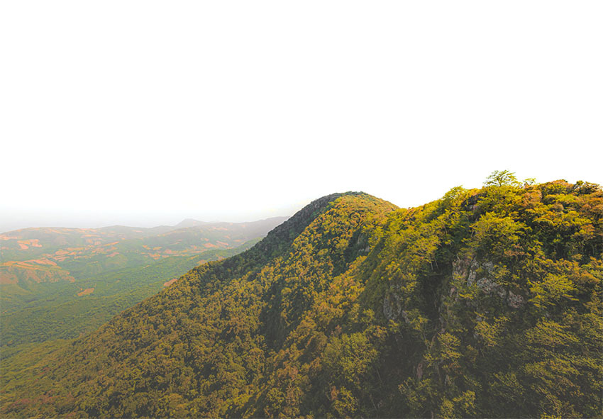 Национальный Парк Амборо, Боливия