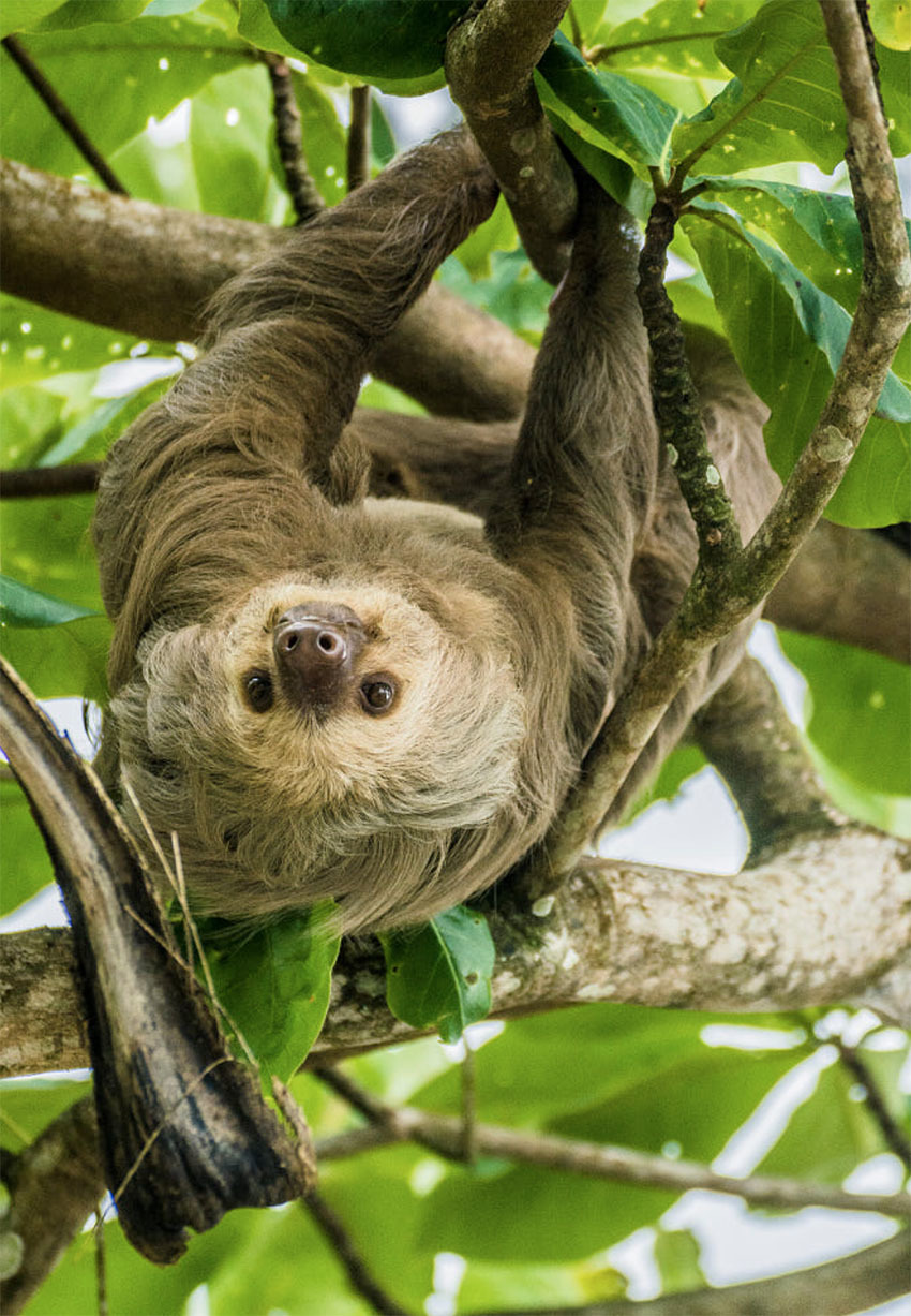 Национальный Парк Амборо, Боливия