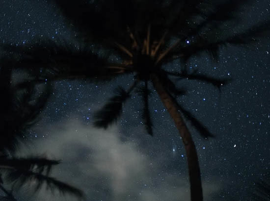 Ужин под звёздами сельвы