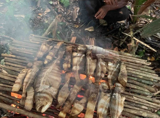 Пткник в сельве