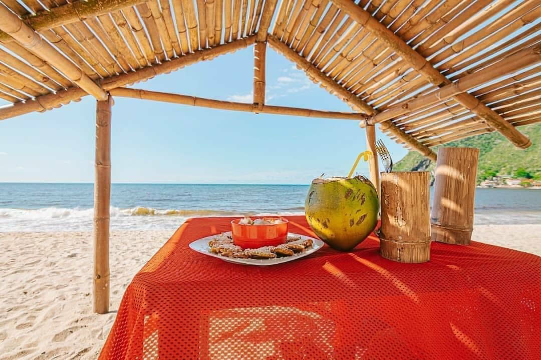 2-3-4 день.  Национальный Парк Анри Питтье и Чорони. Венесуэла.