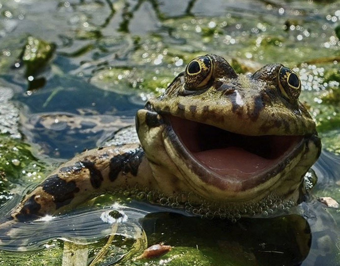 2-3 день. Путешествие по Лос-Льянос, Венесуэла