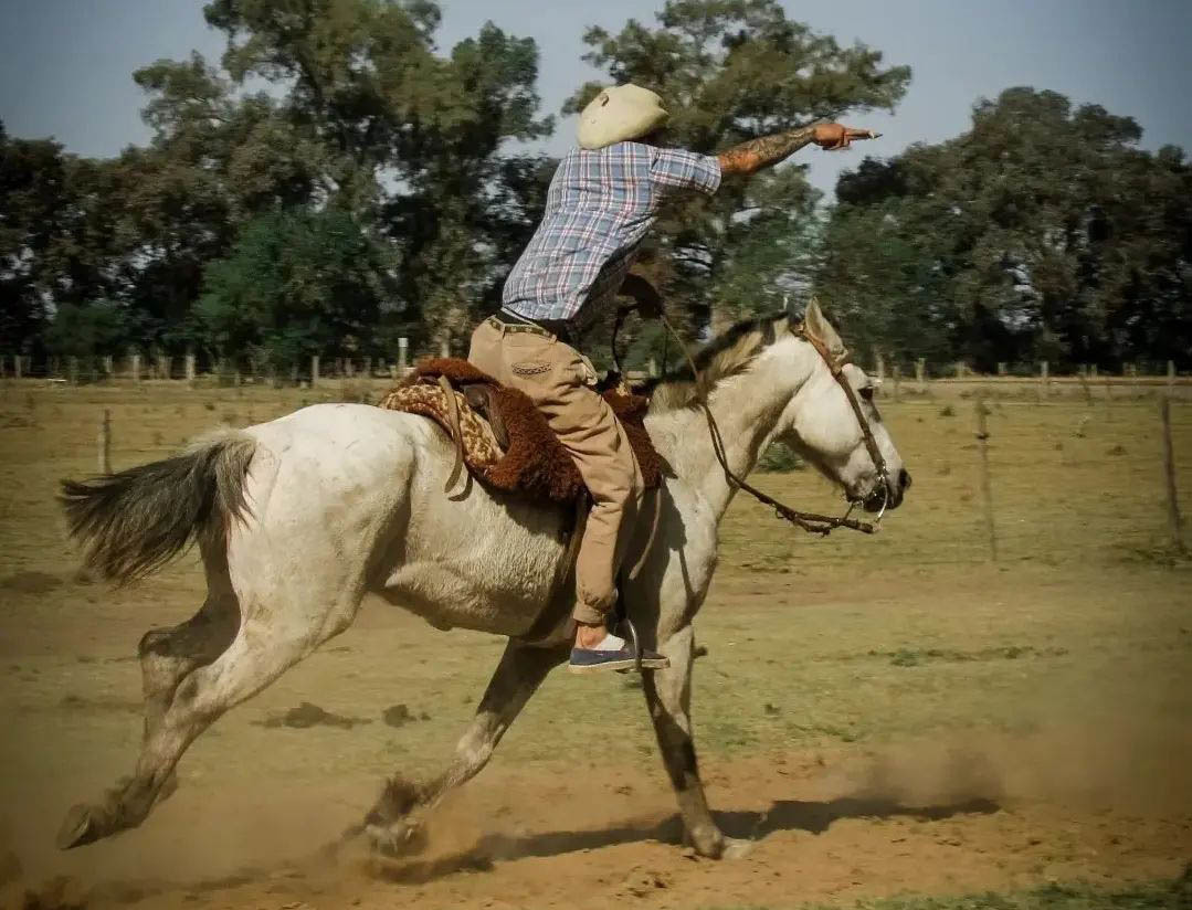 3 день. День проведенный на ранчо гаучо