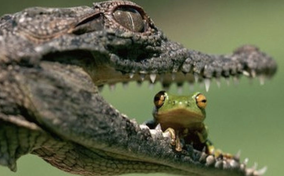 16-17-18-19 день. Дельта реки Ориноко. Венесуэла