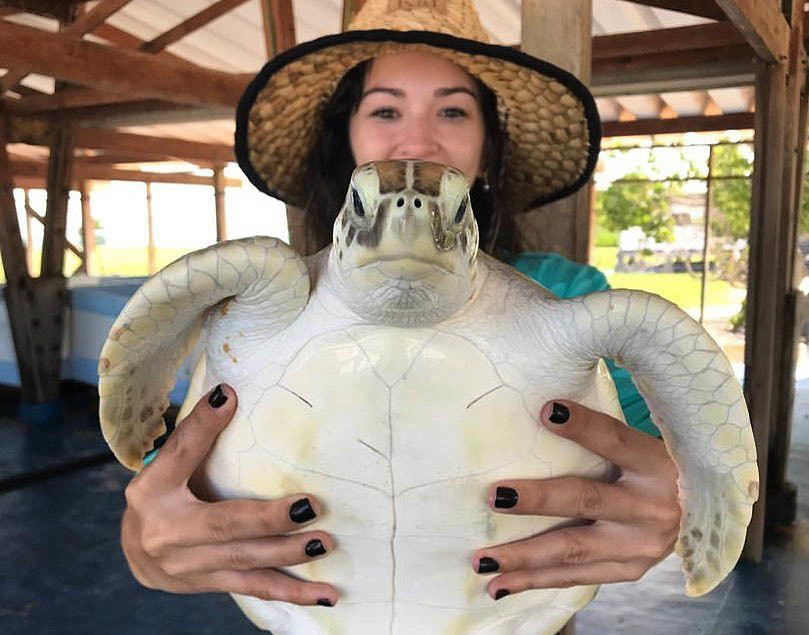 Посещение Заповедника Морских черепах