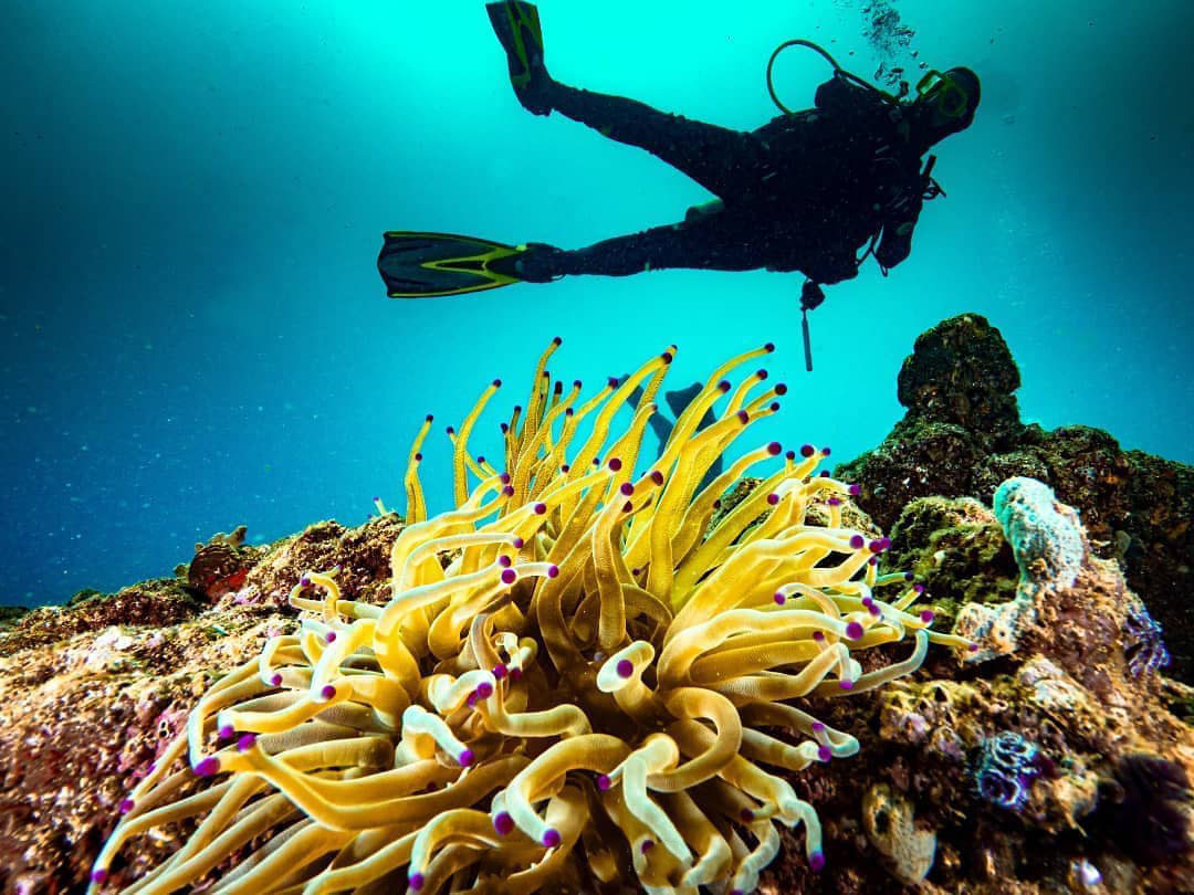 20-21-22 день. Национальный Парк Мочима. Венесуэла