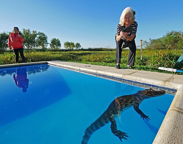 Экскурсия «Жизнь среди крокодилов». Аргентина